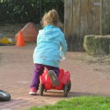 IMG_0680_1000